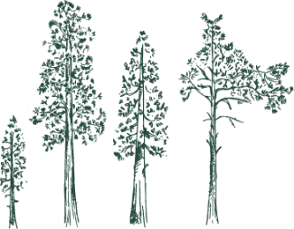 ERW Tree Emblem